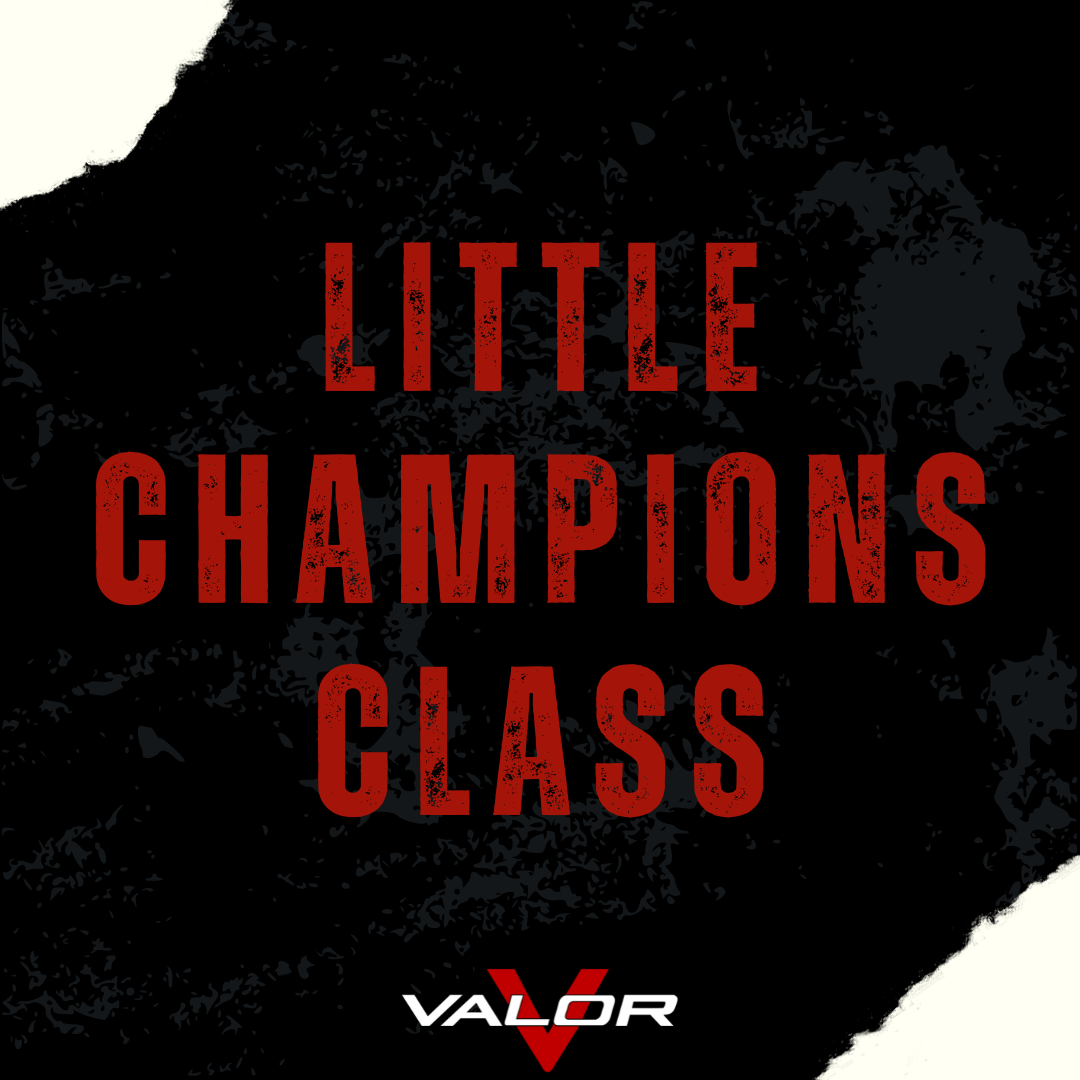 Kickboxing & BJJ Little Champions Class
