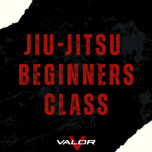 Jiu-Jitsu Beginners Class