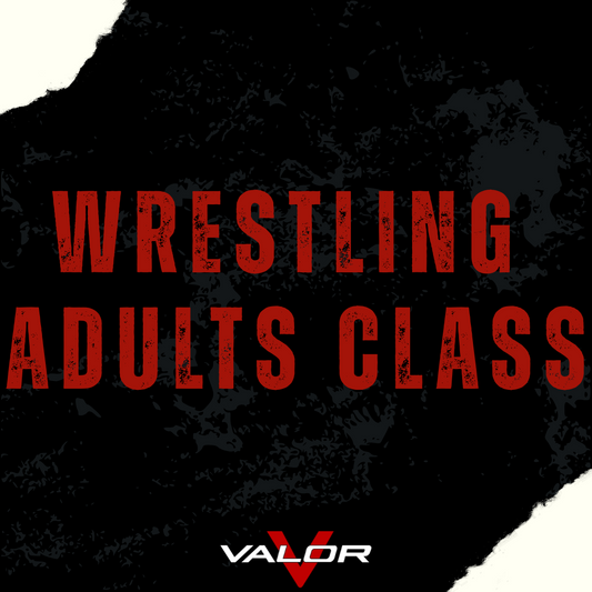 Wrestling Adults Class