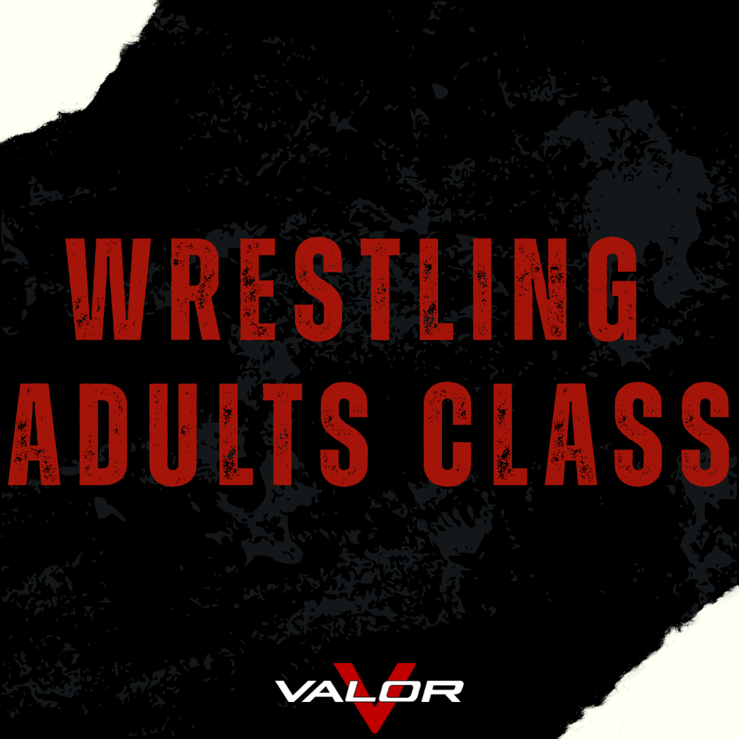 Wrestling Adults Class