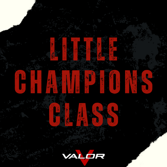 Kickboxing & BJJ Little Champions Class