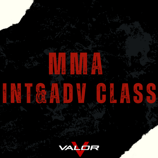MMA INT&ADV Class (INVITE ONLY)