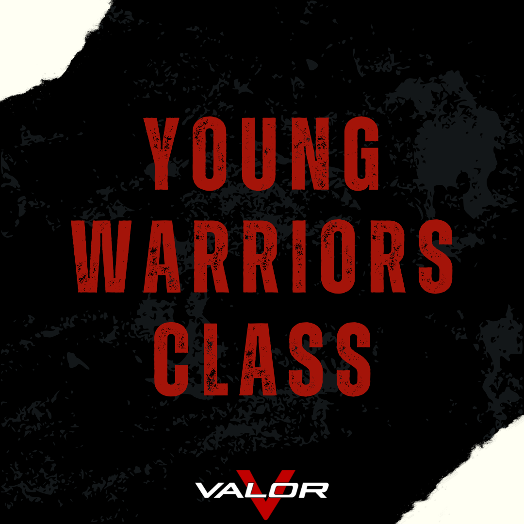 Kickboxing & BJJ Young Warriors