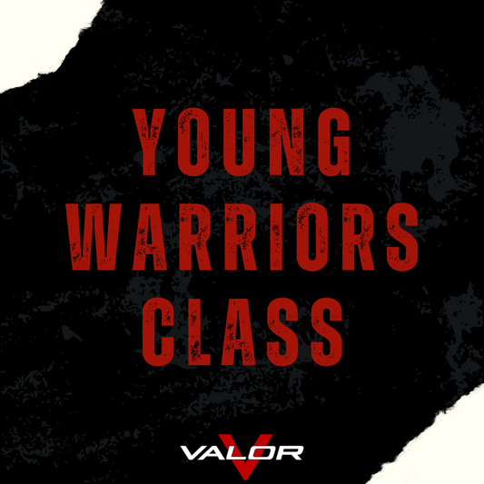 Kickboxing & BJJ Young Warriors